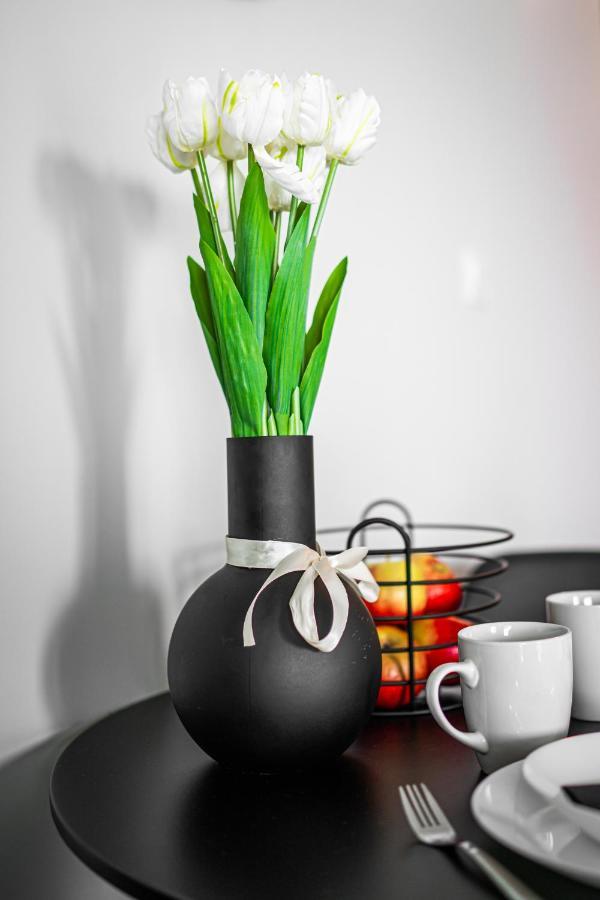 Apartmán Turkusowe Tarasy Apartament Czeladź Exteriér fotografie